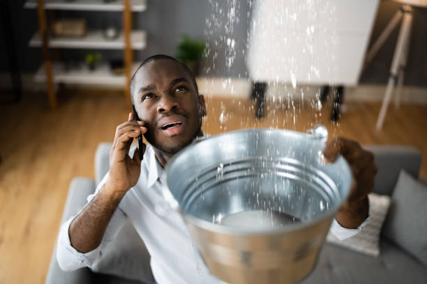 Best Flood restoration services  in Mayville, MI