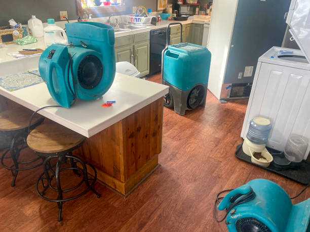 Best Flood damage cleanup  in Mayville, MI