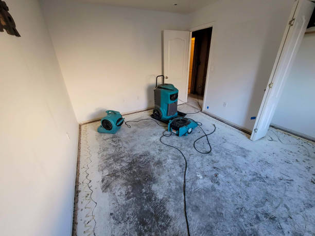Best Water damage restoration near me  in Mayville, MI