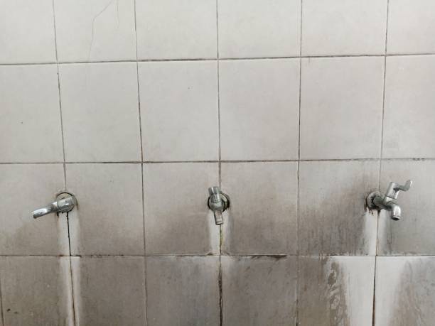 Best Emergency water extraction  in Mayville, MI