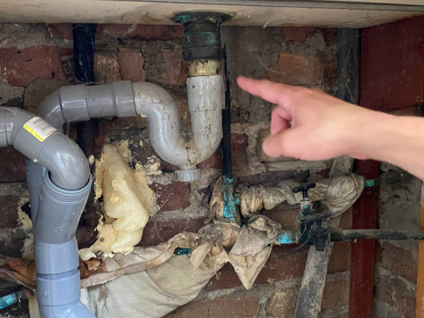 Best Residential water damage restoration  in Mayville, MI