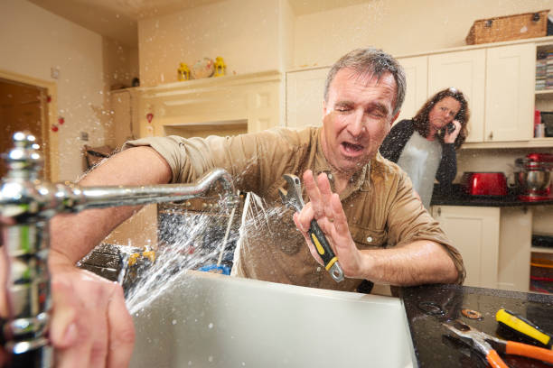  Mayville, MI Water damage restoration Pros